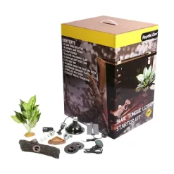 Reptile One Blue Tongue Starter Kit