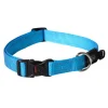 Rogz Classic Dog Collar Turquoise