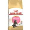 Royal Canin Feline Maine Coon KITTEN 10kg