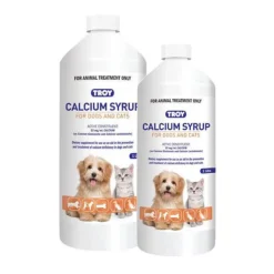 Troy Calcium Syrup