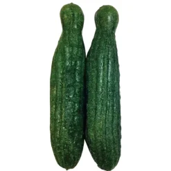 Veggie Patch Edible Cucumber Nibblers 2 Pack