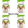VPlanet Vegan Dog Food Kinder Kibble MINI BITES 8kg (4 x 2kg) BULK BUY